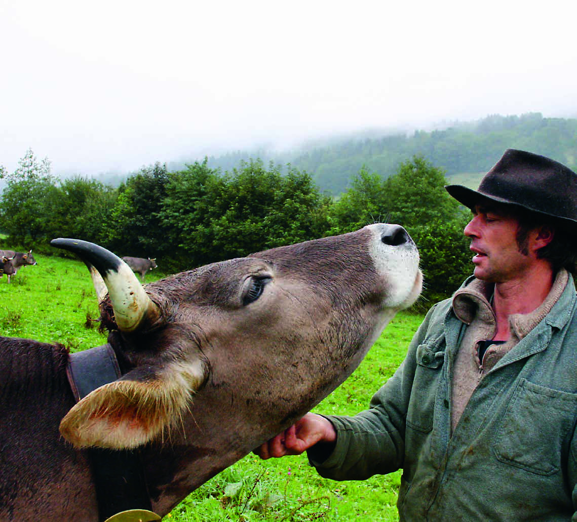 cowhorns-1.jpg