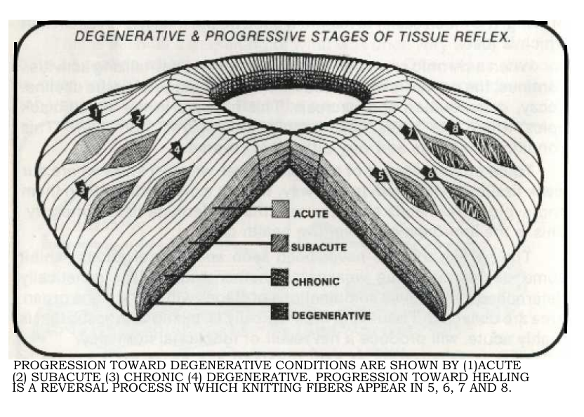 iridology_bernardjens.png