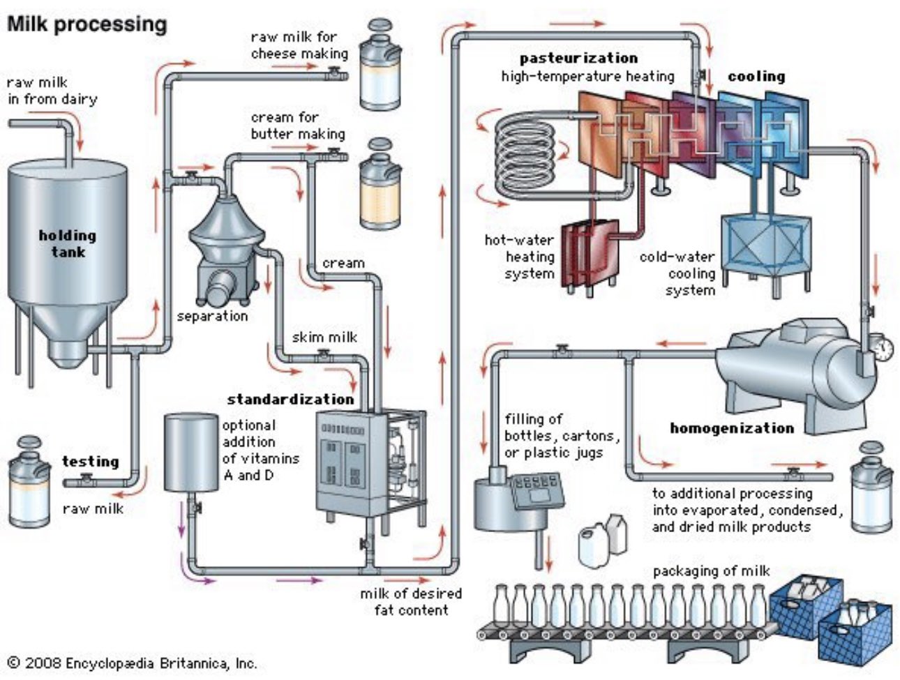 milk_processing_diagram.jpg